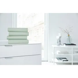 Primera Spannbettlaken Elasthan-Jersey 180 x 200 - 200 x 220 cm grün