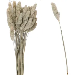 VOSTEEN 1 Stück Dekostrauß - Trockenflor, Blütenarrangement, Naturhalme, Ziergräser - Boho-Look, langlebig, rustikal