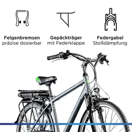 Zündapp Z802 2021 28 Zoll RH 48 cm grau/grün