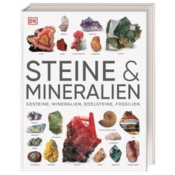 Steine & Mineralien