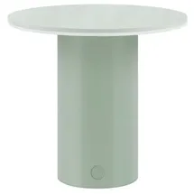 REMEMBER Fungo Grün 3 St.