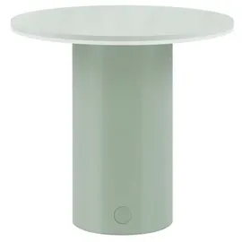 REMEMBER Fungo Grün 3 St.