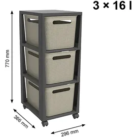 Rotho Schubladenbox Brisen 36,6 x 30,0 x 77 cm 3-tlg. cappuccino