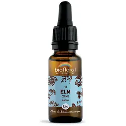 Biofloral 11 - Ulme - 20 ml