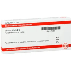 Viscum Album D 6 Ampullen 8X1 ml