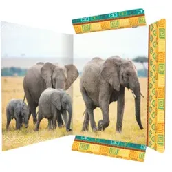 RNK Gummizugmappe A3 Elefant 45377