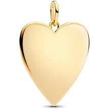 Pandora Herz Gold 364016C00