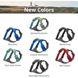 Ruffwear Front Range Hundegeschirr river rock green S