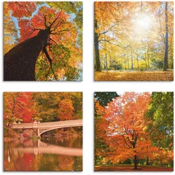 Leinwandbild ARTLAND "Herbst Wald Panoramas", orange (farbe bild(er): orange), B:20cm H:20cm, Canvas, Leinwand, MDF, Bilder, 4er Set, verschiedene Größen
