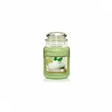 Yankee Candle Vanilla Lime große Kerze 623 g