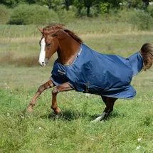 Bucas Irish Turnout Light 50g Regendecke 120 cm Navy/Gold