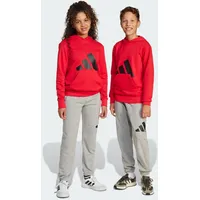Adidas Essentials Big Logo Pants, Medium Grey Heather/Black, 11-12