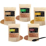 PINI Räucherchips Set 5 x 1 l Buche Kirsche Apfel Eiche Erle