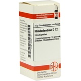 DHU-ARZNEIMITTEL RHODODENDRON D12
