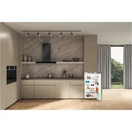 Bauknecht BKSI 12VF3D Einbaukühlschrank (209 l, 1220 mm hoch)