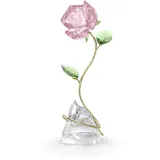 Swarovski Swarovski, Florere Rose,