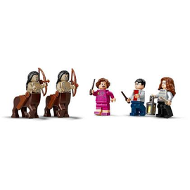 Lego Harry Potter Der Verbotene Wald: Begegnung mit Umbridge 75967