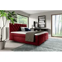 Yourhouse24 Boxspringbett Guliette mit 2 Bettkästen, Doppelbett mit Bonell-Matratze