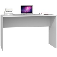 ADGO® Computertisch 120x50x76 cm Bürotisch Schreibtisch für Arbeit Büro Arbeitszimmer Zimmer Kinderzimmer