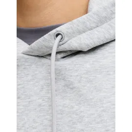 JACK & JONES Bradley Kapuzenpullover Light Grey Melange S