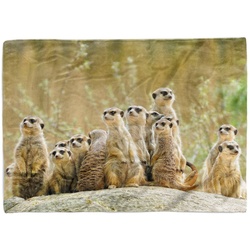Sinus Art Handtücher Handtuch Strandhandtuch Saunatuch Kuscheldecke mit Tiermotiv Erdmännchen Famili, Baumwolle-Polyester-Mix (1-St), Handtuch 100 cm x 180 cm