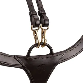 SUNRIDE Vorderzeug Ascot aus Echtleder 5-Punkt/3-Punkt Pony braun
