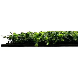 JANGAL  Wandpaneel Modular Wall 52 x 52 cm dunkelgrün