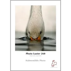 Hahnemühle Photo Luster 260g 30m 44"Roll