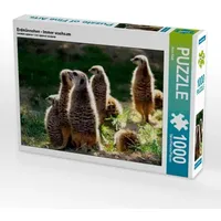 Calvendo Erdmännchen - Immer wachsam (Puzzle)