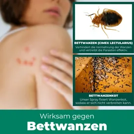 Silberkraft Bettwanzenspray 2 L