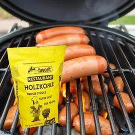 Favorit Grillkohle 10 kg braun