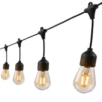 Lumi Jardin Lichterkette schwarz 6,5 m 10 Glühbirnen inkl. LED-Lampe