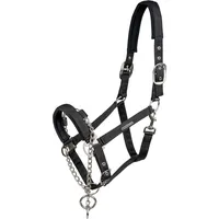 Waldhausen Halfter Pro Safety Schwarz VB