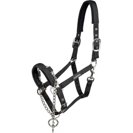 Waldhausen Halfter Pro Safety Schwarz VB