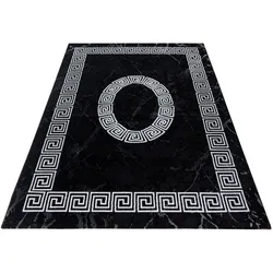 Läufer AYYILDIZ TEPPICHE "PLUS 8009", schwarz, B:80cm H:6mm L:300cm, Polypropylen (PP), Teppiche