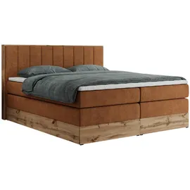 MKS Bellissimo King 180 x 200 cm H3 Orange