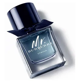 Burberry Mr. Burberry Indigo Eau de Toilette 50 ml