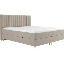 Mirjan24 Elegance 160 x 200 cm Beige