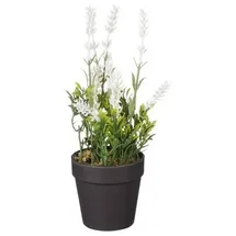Mica decorations - Mica Künstlicher Lavendel Im Topf Weiß 24 X 10 Cm Dekoblumen