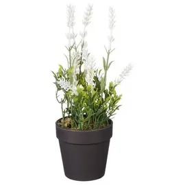 Mica decorations - Mica Künstlicher Lavendel Im Topf Weiß 24 X 10 Cm Dekoblumen