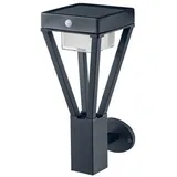 LEDVANCE ENDURA STYLE SOLAR BOUQUET Sensor 6W/830 Wandleuchte schwarz