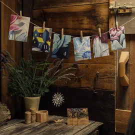 Magic Garden Seeds Magische Zeit Bio-Saatgut-Adventskalender Wundersame Kräuterwelt 2022