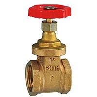 Riegler Muffen-Absperrschieber, ohne Spindelhub, Messing, G 1, DN 25