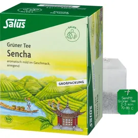 SALUS Grüner Tee bio Salus Filterbeutel Großpackung 40 St