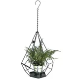 DanDiBo Ambiente Blumenampel Innen Metall 34 x 82 x 34 cm