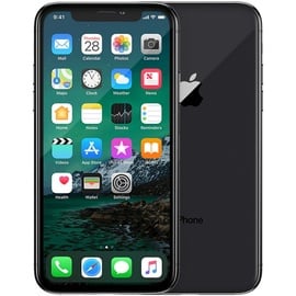 Apple iPhone X 64 GB Space Grau