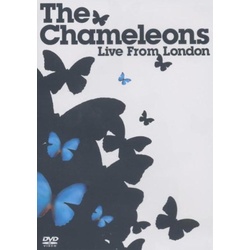 Chameleons - Live from London [DVD] (Neu differenzbesteuert)