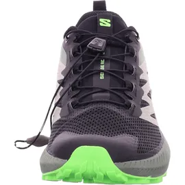 Salomon Sense Ride Herren Black/Laurel Wreath/Green Gecko 46 2/3