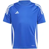 Adidas Tiro 24 Trikot Kinder - royal blue/white