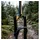 RockShox Pike C1+ 27,5 Zoll 37 mm 2023 Schwarz